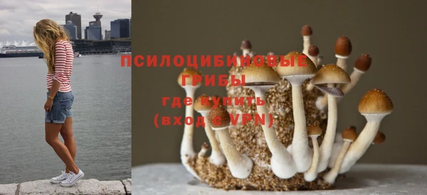 spice Няндома