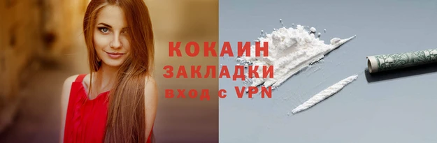 spice Няндома