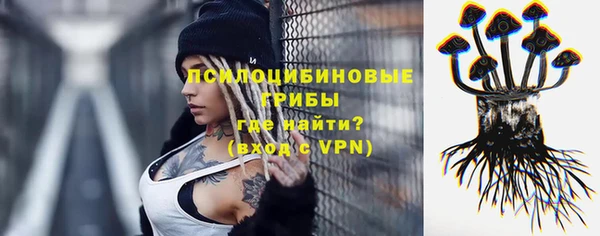 spice Няндома