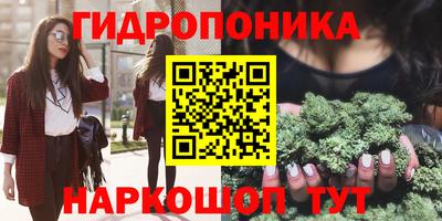 СК Можга