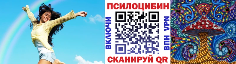 Псилоцибиновые грибы Cubensis  нарко площадка как зайти  Шали 