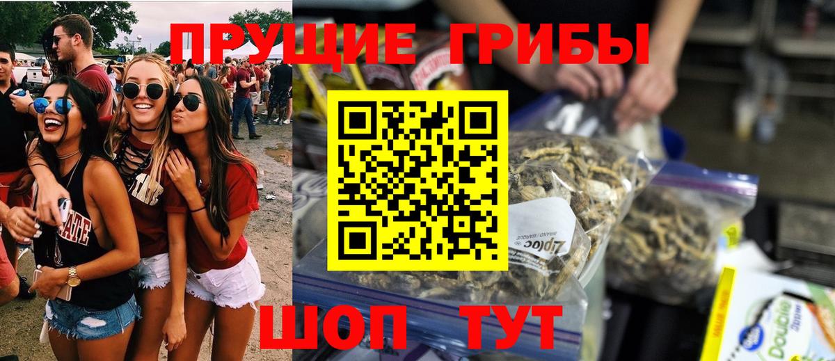 Шали  Галлюциногенные грибы прущие грибы  Вход с VPN  Псилоцибиновые грибы Cubensis 